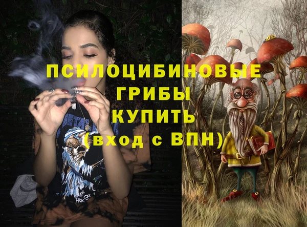 apvp Навашино