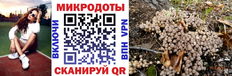 Галлюциногенные грибы Cubensis Ак-Довурак